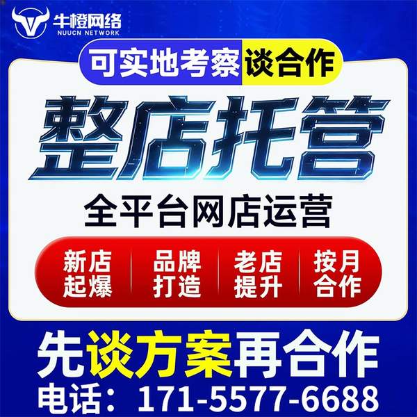 韩城电商代运营