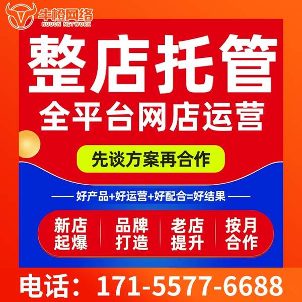 韩城电商代运营